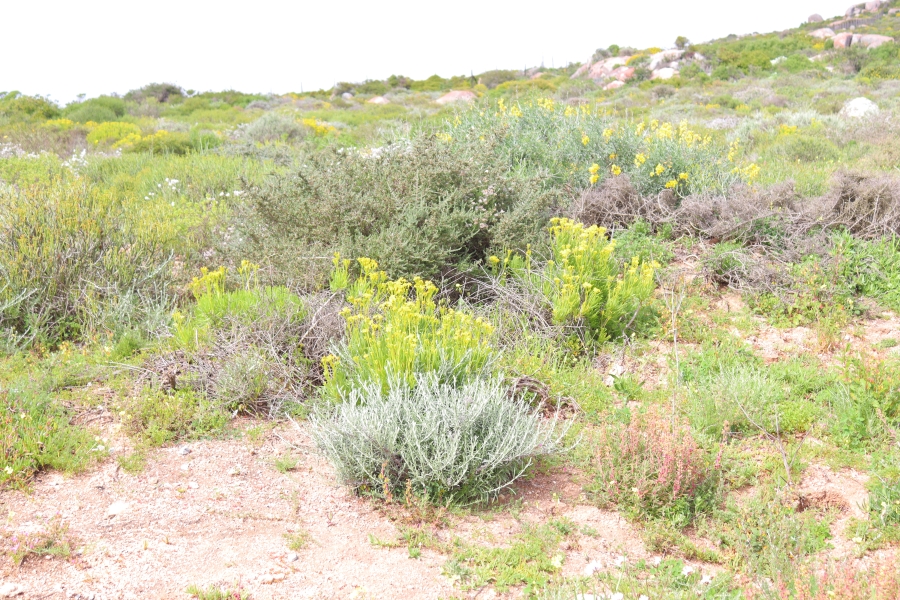 0 Bedroom Property for Sale in St Helena Views Western Cape